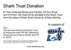 Shark Scale (L) - Orange